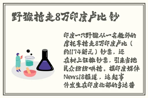 秒懂网站填空题2024